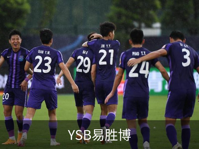 关于YSB易胜博